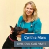 Cynthia Maro Avatar