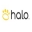halocollarreviews5